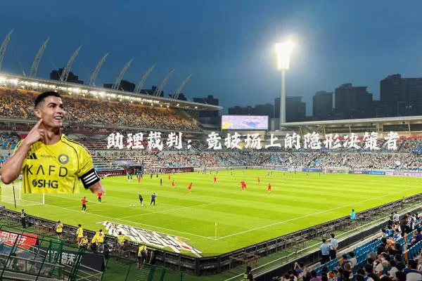 助理裁判:竞技场上的隐形决策者